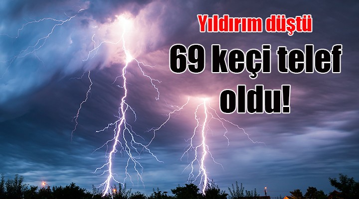 İzmir de yıldırım düşmesi sonucu 69 keçi telef oldu