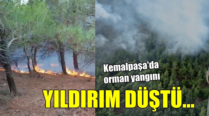 İzmir de yıldırım düşmesi sonucu orman yangını çıktı!