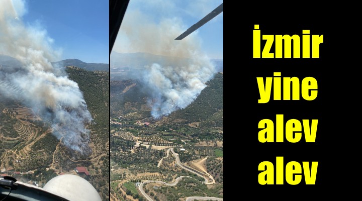 İzmir de yine orman yangınları...