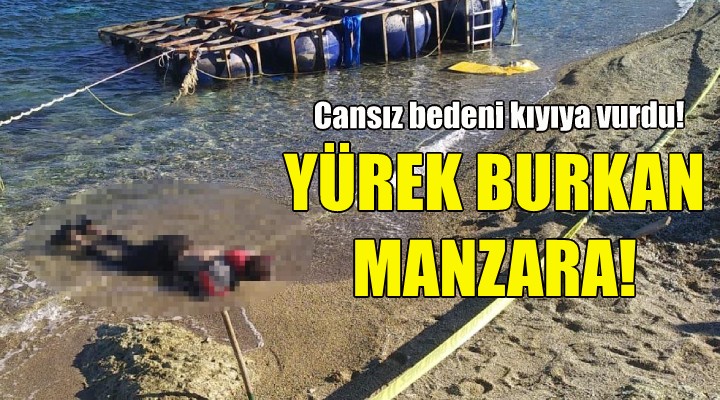 İzmir de yürek burkan manzara... Cansız bedeni kıyıya vurdu!