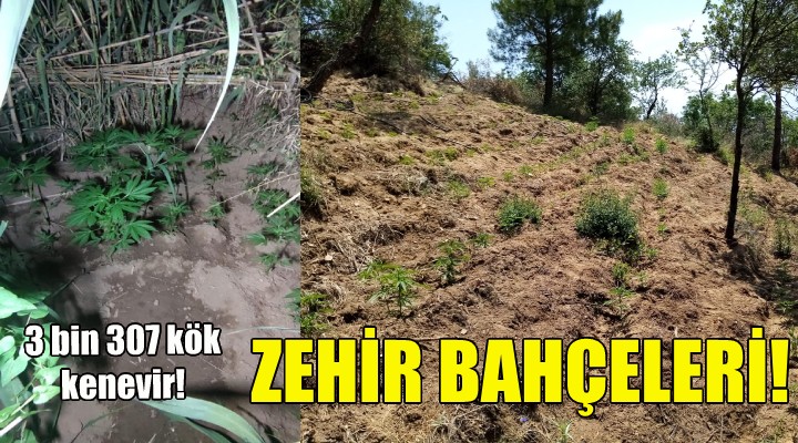 İzmir de zehir bahçelerine baskın!