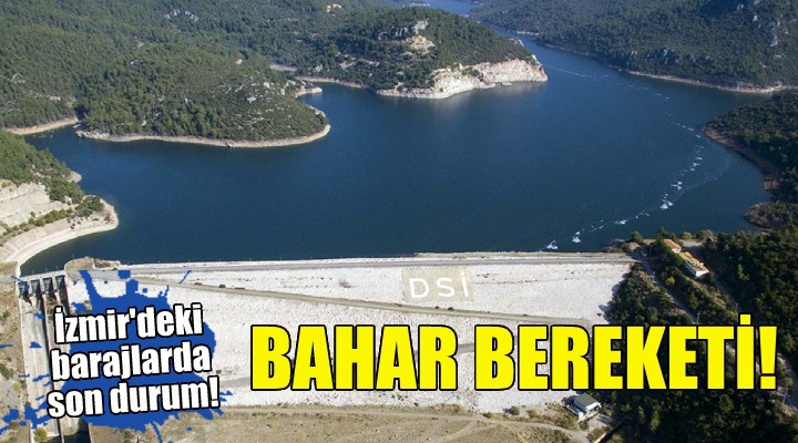 İzmir deki barajlarda bahar bereketi!