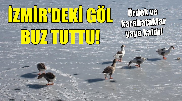 İzmir deki göl buz tuttu!