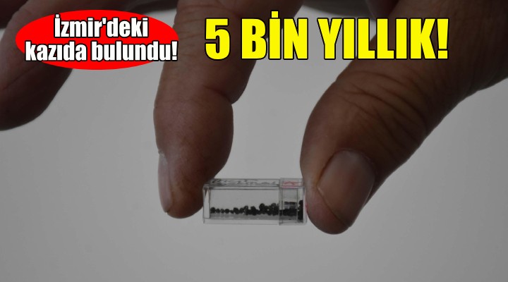 İzmir deki kazıda bulundu... 5 bin yıllık!