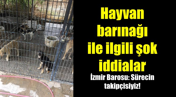 İzmir deki o barınakla ilgili şok iddialar