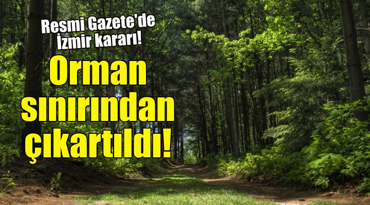 İzmir deki o bölge orman sınırı dışına çıkartıldı!