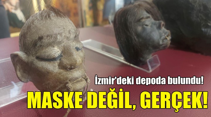 İzmir deki operasyonda insan başları ele geçildi!