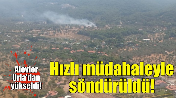 İzmir deki orman yangını hızlı müdahaleyle söndürüldü!