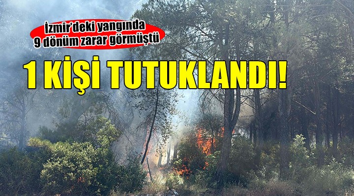 İzmir'deki orman yangınına tutuklama!