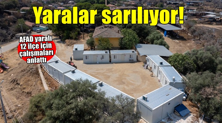 İzmir deki orman yangınlarının yaraları sarılmaya çalışılıyor