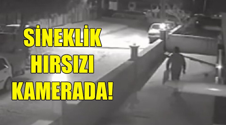 İzmir deki sineklik hırsızı kamerada!