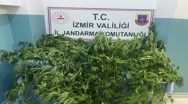 İzmir deki uyuşturucu operasyonlarında 1 tutuklama