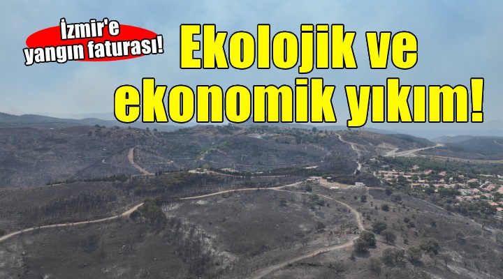 İzmir deki yangınlar ekonomik ve ekolojik yıkım getirdi!