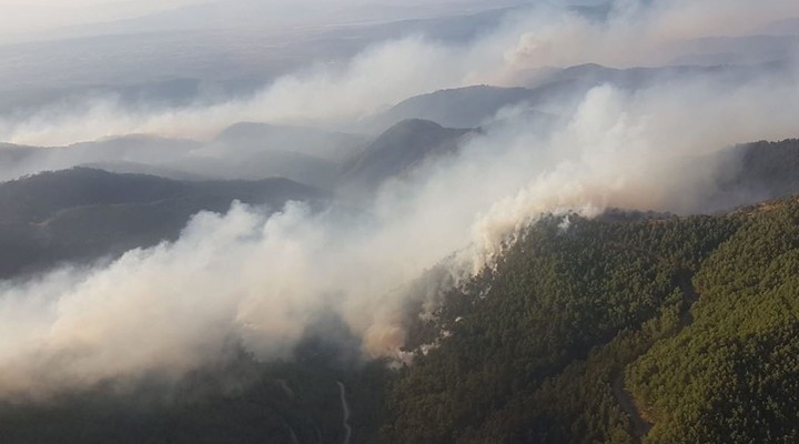 İzmir deki yangınlar ile ilgili açıklama