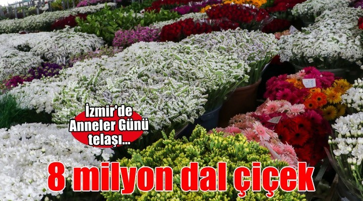 İzmir'den Anneler Günü için 8 milyon dal çiçek