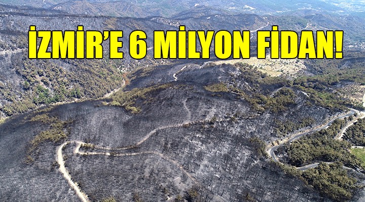 İzmir e 6 milyon fidan!