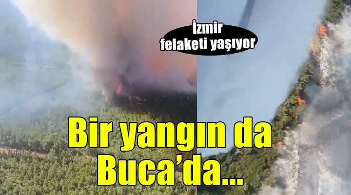 İzmir felaketi yaşıyor... Bir yangın da Buca'da