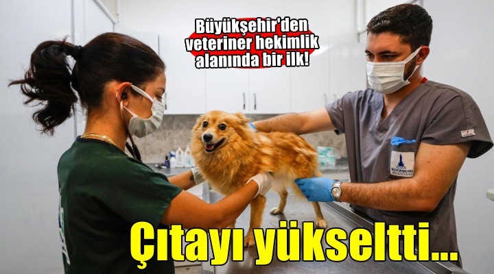 İzmir, hayvan sağlığında çıtayı yükseltti