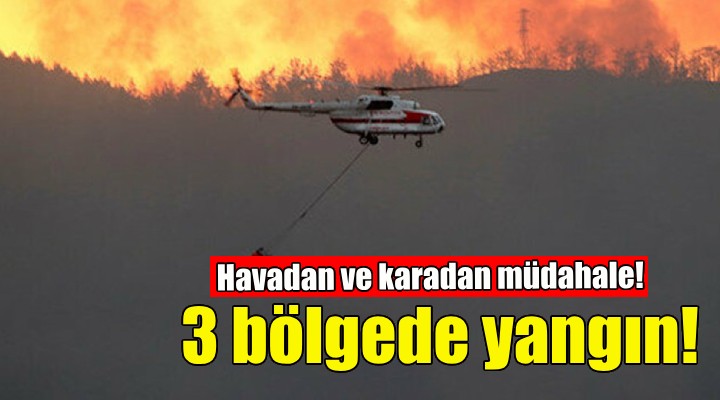 İzmir in 3 ilçesinde orman yangını!