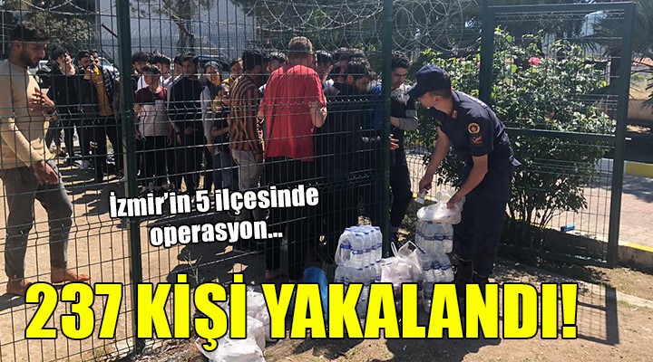 İzmir in 5 ilçesinde 237 kaçak göçmen yakalandı