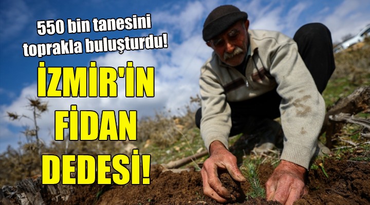 İzmir in Fidan Dedesi...