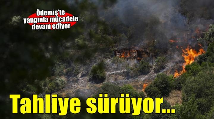 İzmir in Ödemiş ilçesindeki orman yangınına müdahale sürüyor