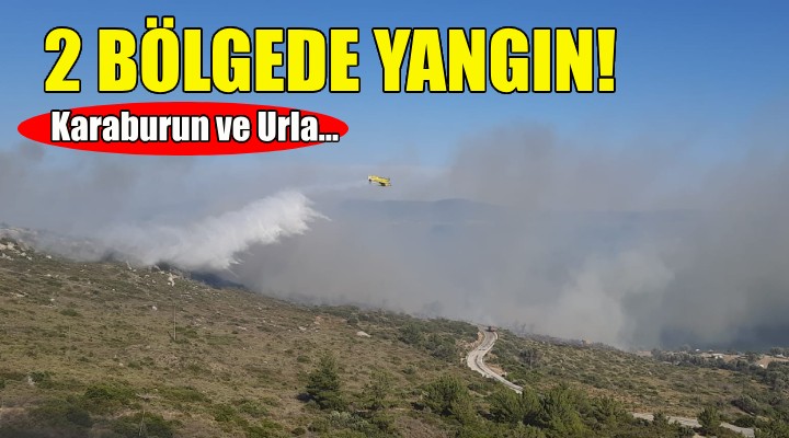 İzmir in iki ilçesinde yangın paniği!