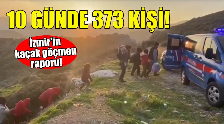 İzmir in kaçak göçmen raporu... 10 günde 373 kişi!