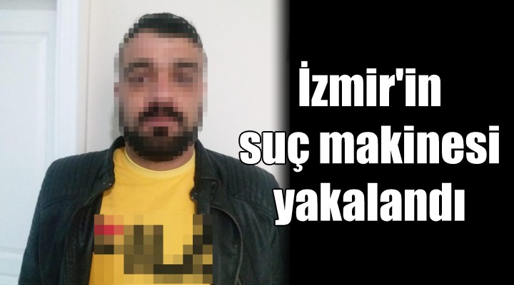 İzmir in suç makinesi yakalandı