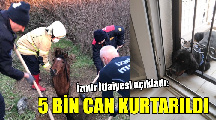 İzmir itfaiyesi 5 bin hayvan kurtardı