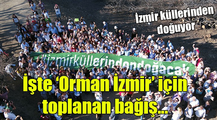 İzmir küllerinden doğuyor... İşte  Orman İzmir  için toplanan bağış...