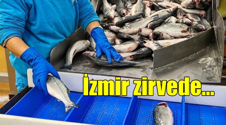 İzmir su ürünleri ihracatının zirvesinde