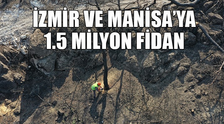 İzmir ve Manisa ya 1 buçuk milyon fidan