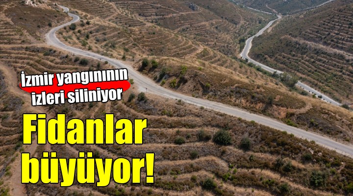 İzmir yangınının izleri siliniyor...