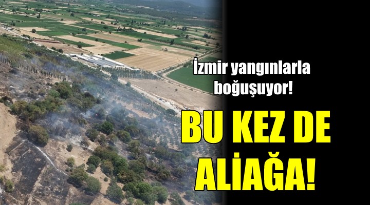 İzmir yangınlarla boğuşuyor!