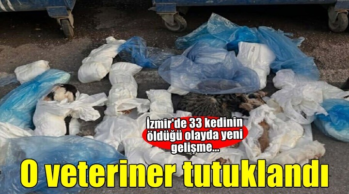 İzmir’de 33 kedinin ölü bulunduğu olayda yeniden gözaltına alınan veteriner tutuklandı