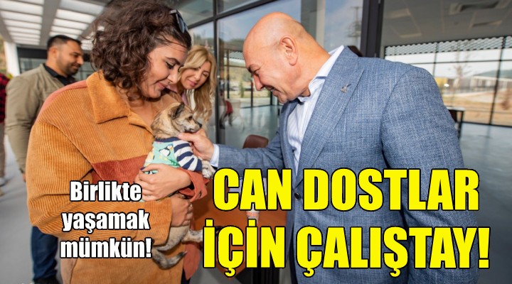 İzmir’de Sokak hayvanları için çalıştay düzenlendi!