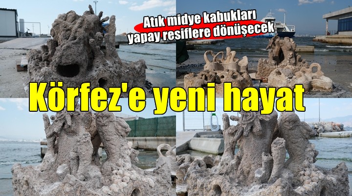 İzmir’de atık midye kabukları yapay resiflere dönüşecek