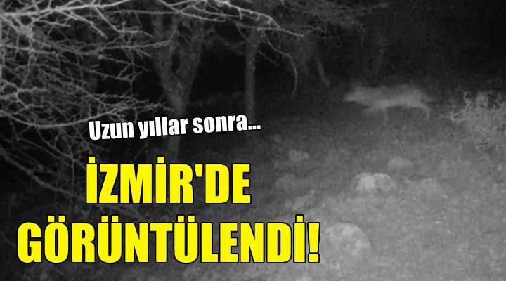 İzmir’de görüntülendi!