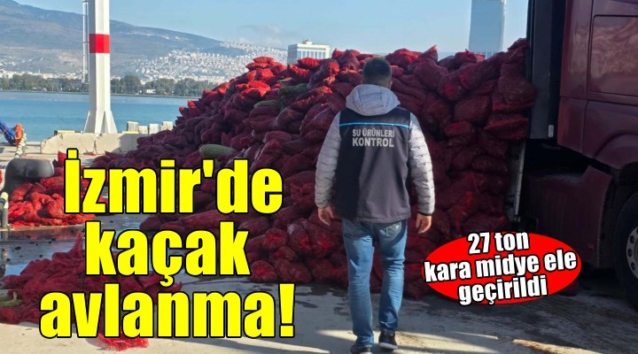 İzmir’de kaçak avlanan 27 ton kara midye ele geçirildi