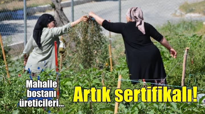 İzmir’de mahalle bostanı üreticileri artık sertifikalı!