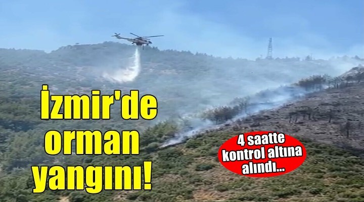 İzmir’de orman yangını