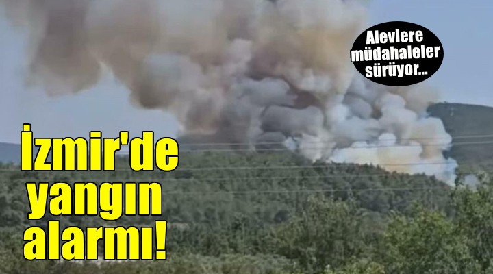 İzmir’de orman yangını!