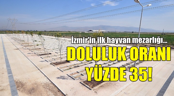 İzmir’in ilk hayvan mezarlığında doluluk oranı yüzde 35’e ulaştı!