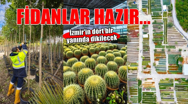 İzmir’in renkleri Büyükşehir fidanlıklarında filizleniyor