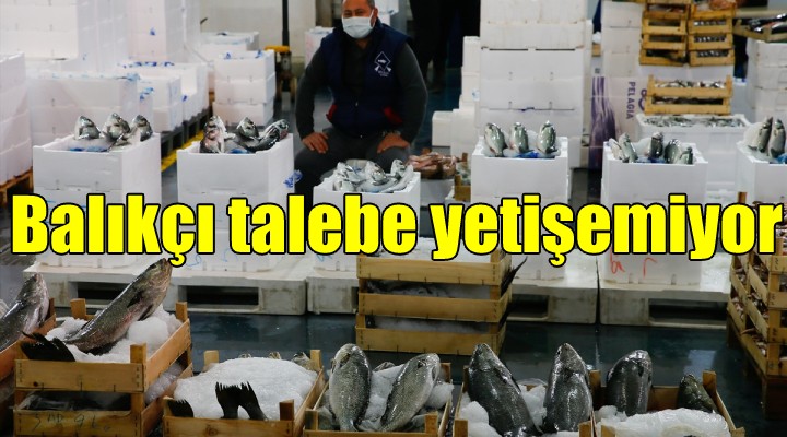 İzmirli balıkçı talebe yetişemiyor!