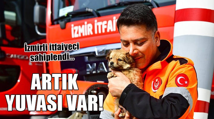 İzmirli itfaiyeci deprem bölgesinden gelen köpeği sahiplendi