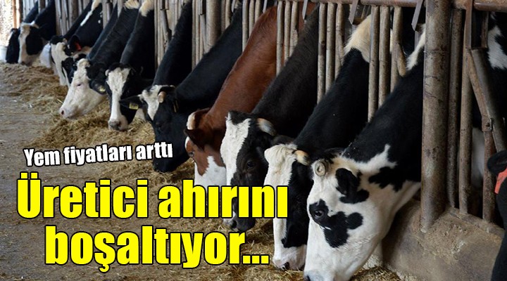 İzmirli yem satıcısı dertli... Fiyatlar arttı, ahırlar boşaltılıyor!