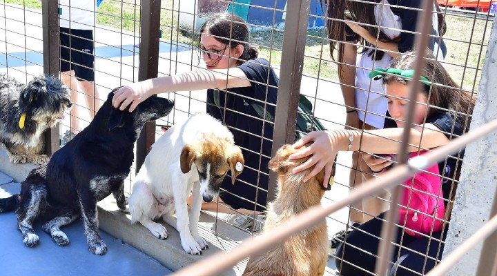 İzmirliler PAKOFEST’te patili dostlarla buluştu!