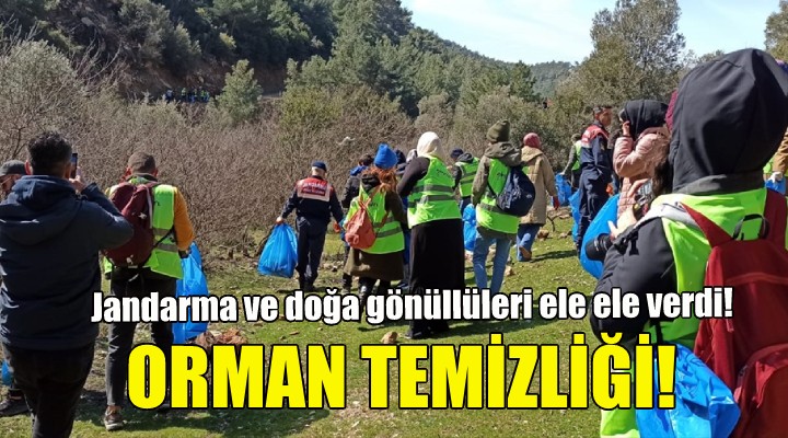 Jandarma ve gönüllülerden orman temizliği!